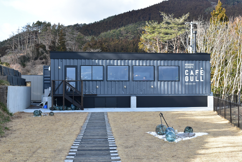 CAFE gull